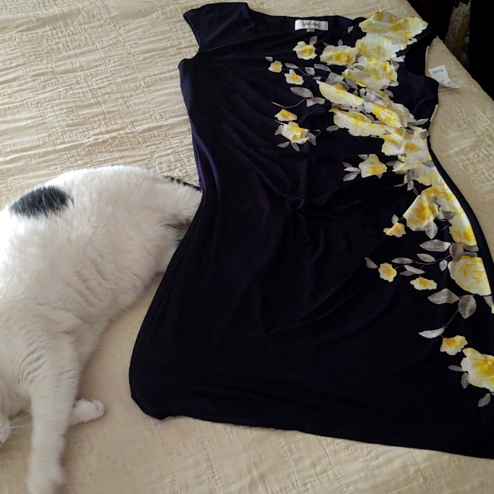 Dress Jones studio XL with side ruching